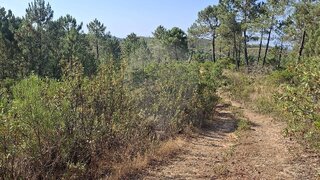 Land for sale in Loulé, Portugal — €35,000