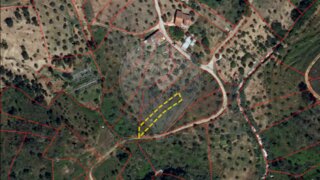 Terreno em Sardoal