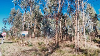 Terreno em Condeixa-a-Nova