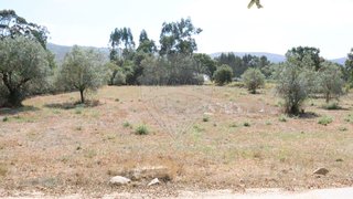 Land for sale in Alcobaça, Portugal — €50,000