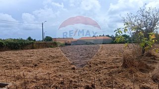 Land for sale in Ovar, Portugal — €65,000