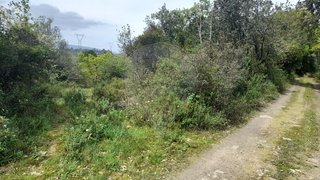 Land for sale in Torres Novas, Portugal — €75,000