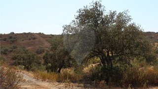 Land for sale in Alcoutim, Portugal — €25,000