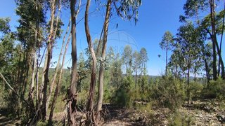 Land for sale in Sardoal, Portugal — €35,000