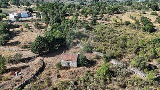 Terreno em Fornos de Algodres