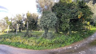 Land for sale in Ponte da Barca, Portugal — €65,000