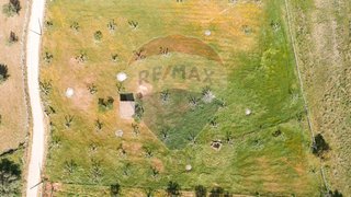 Land for sale in Nisa, Portugal — €68,500