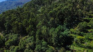 Land for sale in Cinfães, Portugal — €17,500