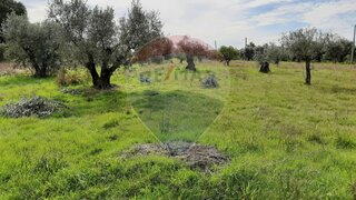 Terreno para venda em Pombal, Portugal — 82 500 €
