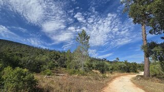 Terreno em Torres Novas