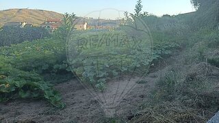 Land for sale in Castro Daire, Portugal — €14,760