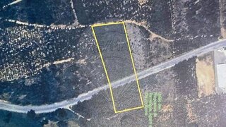 Land for sale in Anadia, Portugal — €30,299