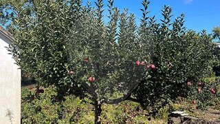 Terreno para venda em Mafra, Portugal — 130 000 €