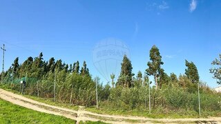 Land for sale in Oliveira do Hospital, Portugal — €12,000