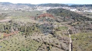 Land for sale in Alvaiázere, Portugal — €93,000
