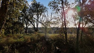 Land for sale in Mora, Portugal — €31,500
