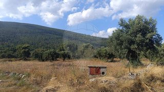 Land for sale in Torres Novas, Portugal — €19,000