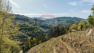 Land for sale in Celorico de Basto, Portugal — €35,000