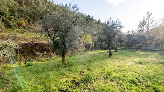 Land for sale in Castelo Branco, Portugal — €16,500