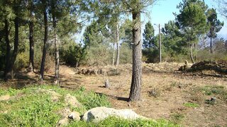 Land for sale in Lamego, Portugal — €79,000