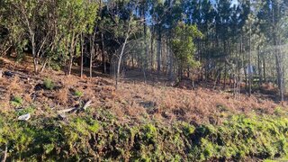 Land for sale in Seia, Portugal — €45,000