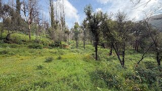 Land for sale in São Pedro do Sul, Portugal — €39,950