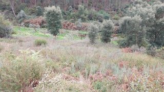 Land for sale in Sertã, Portugal — €20,000