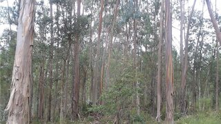 Land for sale in Ourém, Portugal — €35,000