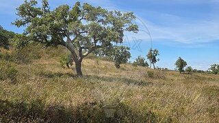Land for sale in Grândola, Portugal — €1,000,000