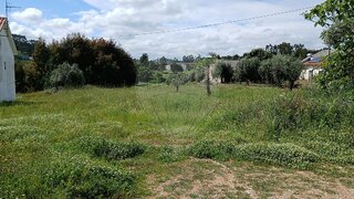 Land for sale in Tomar, Portugal — €30,000