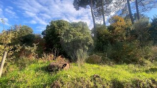 Land for sale in Baião, Portugal — €16,000
