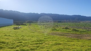Land for sale in Nazaré, Portugal — €28,000