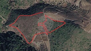 Terreno para venda em São João da Pesqueira, Portugal — 200 000 €