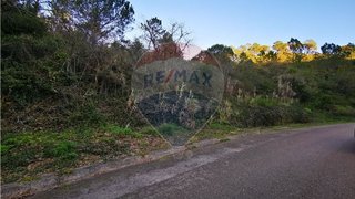Land for sale in Alcobaça, Portugal — €15,000