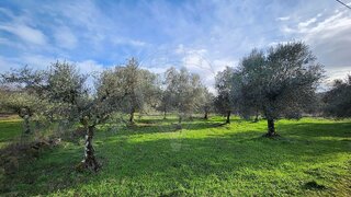 Land for sale in Penamacor, Portugal — €24,920