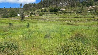 Land for sale in Arcos de Valdevez, Portugal — €22,500