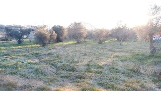Land for sale in Penamacor, Portugal — €15,000