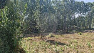 Land for sale in Oliveira do Bairro, Portugal — €12,800