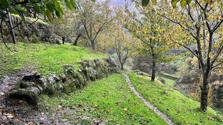 Land for sale in Resende, Portugal — €40,000
