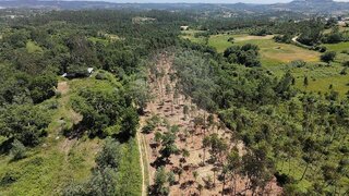 Land for sale in Pombal, Portugal — €48,000