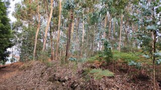 Land for sale in Barcelos, Portugal — €99,000