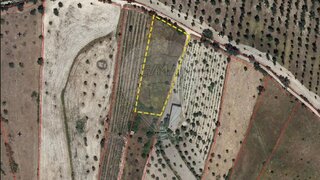 Land for sale in Nisa, Portugal — €15,000