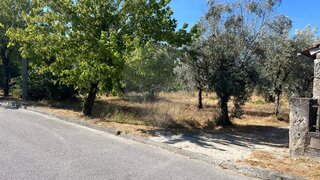 Land for sale in Nelas, Portugal — €67,000