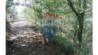 Land for sale in Oliveira de Frades, Portugal — €15,000