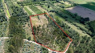 Land for sale in Condeixa-a-Nova, Portugal — €35,000