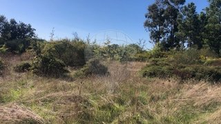 Land for sale in Seia, Portugal — €40,000