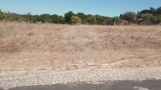 Land for sale in Chamusca, Portugal — €21,500