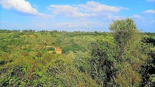Terreno · 8280 m² · 9500 €