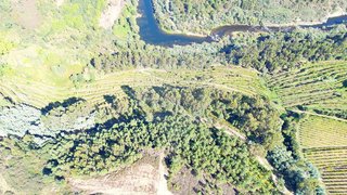 Land for sale in Celorico de Basto, Portugal — €30,000