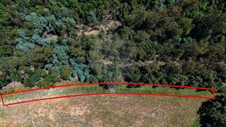 Terreno em Mira